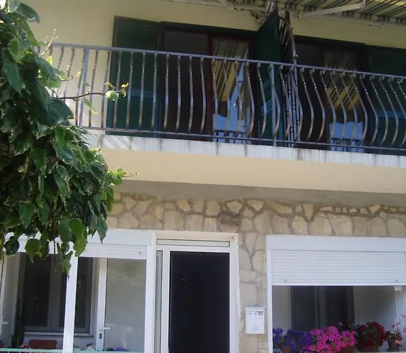 Apartment Zanze Maslinica